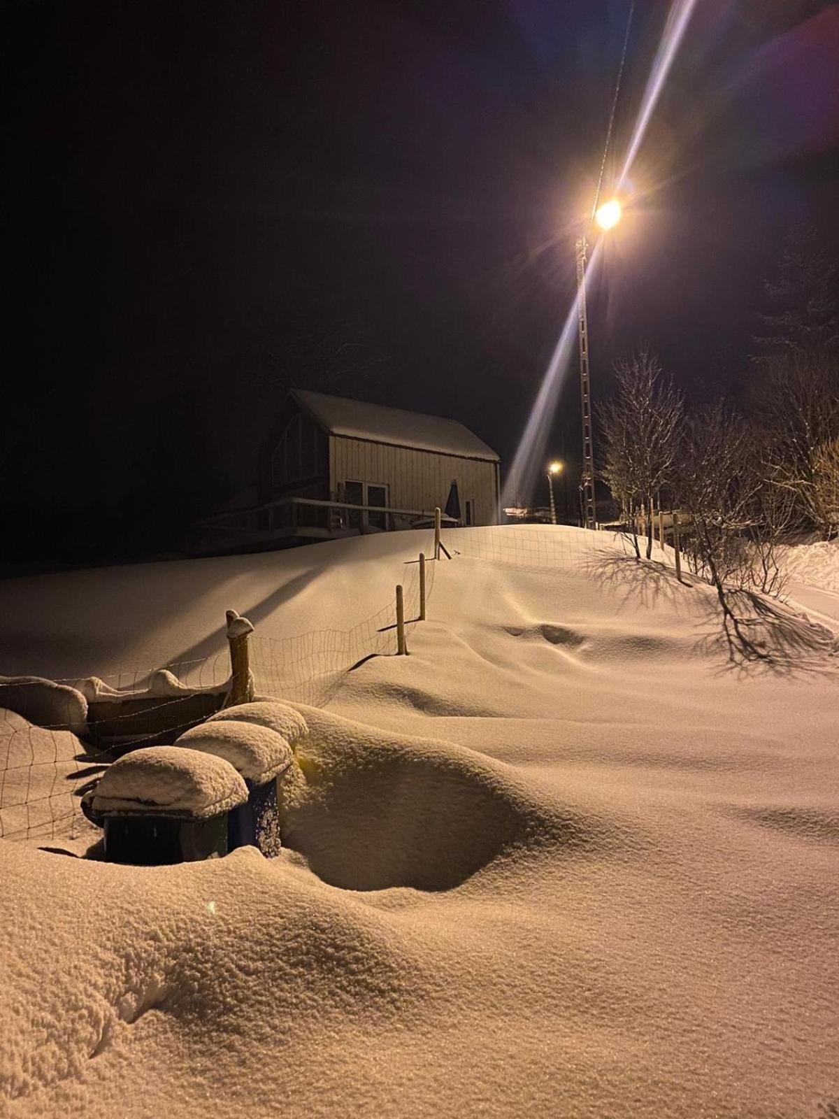 Domek Mecenasa Nieledwia Buitenkant foto